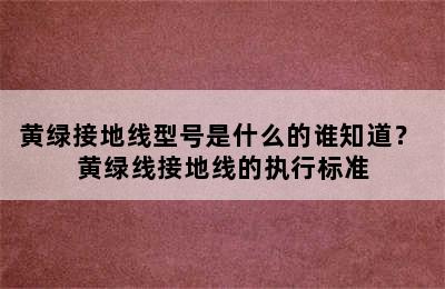 黄绿接地线型号是什么的谁知道？ 黄绿线接地线的执行标准